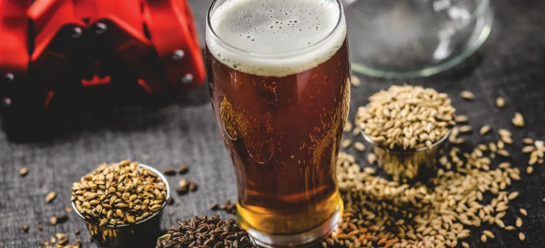  啤酒發(fā)酵過程大揭秘！vAPCI+CMS 聯(lián)用新技術(shù)如何快速捕捉風(fēng)味密碼？